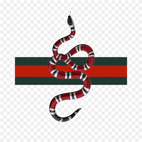 serpente gucci maglia|origin of gucci snake.